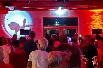Hasen-Party