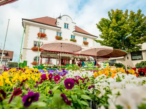 Kißlegger Wochenmarkt