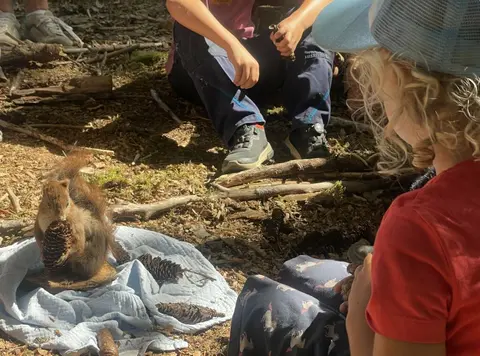 Kinder erlebten den Wald mit allen Sinnen